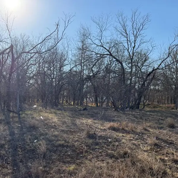 133 Chandler CV, Cedar Creek, TX 78612