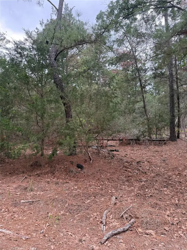 Lot 1428 Keeau CT, Bastrop, TX 78602