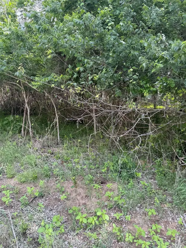 Lot 959 Riverside DR, Bastrop, TX 78602