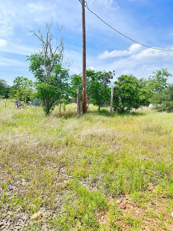 138 Wild Bird LOOP, Smithville, TX 78957