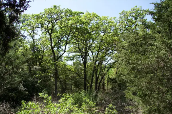 1035 Old Sayers RD, Elgin, TX 78621