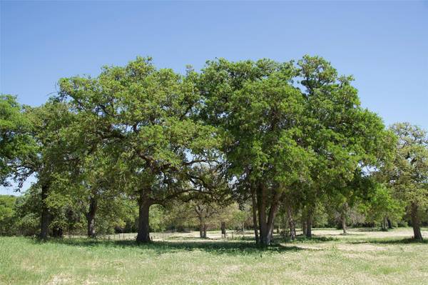 1035 Old Sayers RD, Elgin, TX 78621