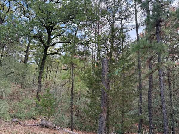 125 Lamaloa LN, Bastrop, TX 78602