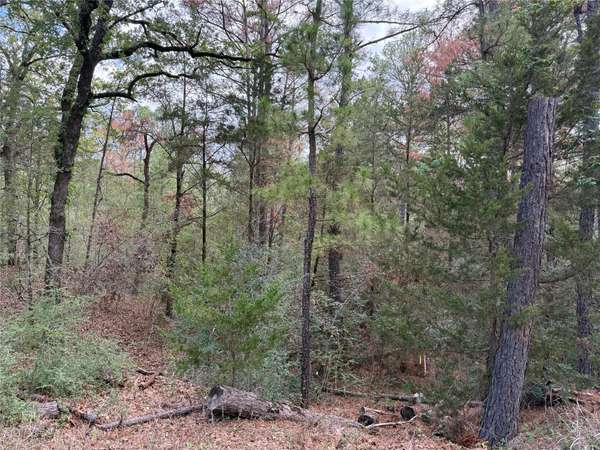 125 Lamaloa LN, Bastrop, TX 78602