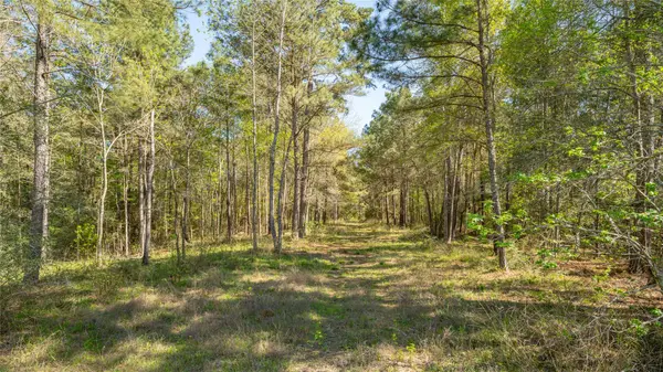 000 Bighorn RD, Huntsville, TX 77340