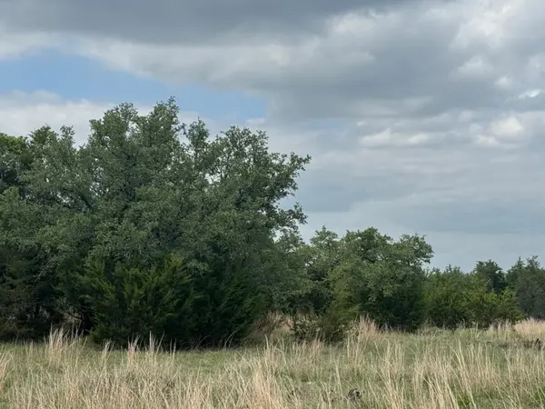 Lot 40 Maverick WAY, Briggs, TX 78608