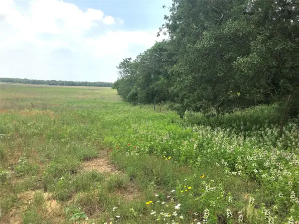 1672 Sayers RD #Tract 1, Bastrop, TX 78602