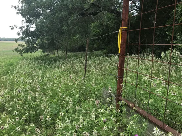 1672 Sayers RD #Tract 1, Bastrop, TX 78602