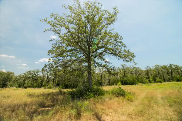 2564 Bluestem Crest LN, Kingsbury, TX 78638