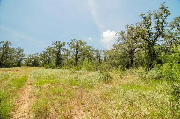 2564 Bluestem Crest LN, Kingsbury, TX 78638