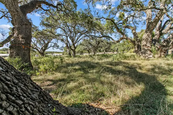 1410 Greenlawn PKWY, Blanco, TX 78606