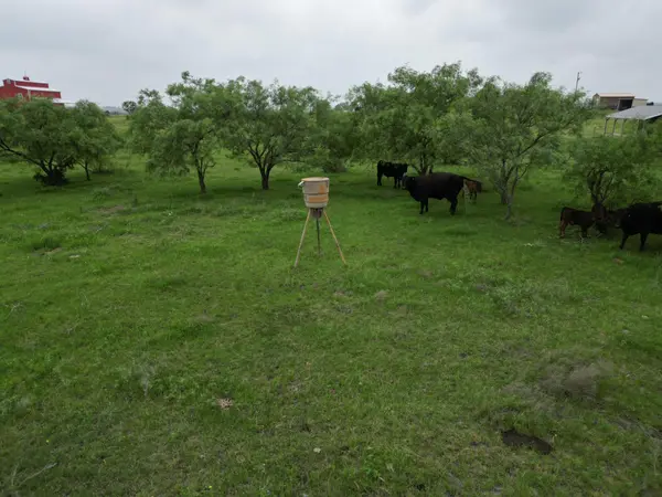 2238 County Road 2109, Lometa, TX 76853