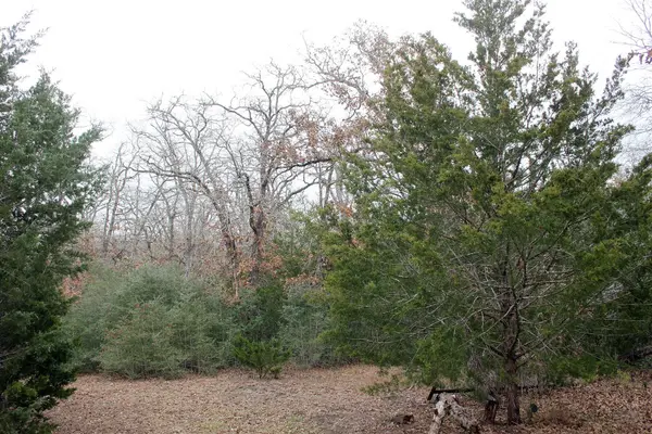 8729 E Fm 20 HWY, Dale, TX 78616