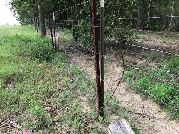 1672 Sayers RD #Tract 1, Bastrop, TX 78602