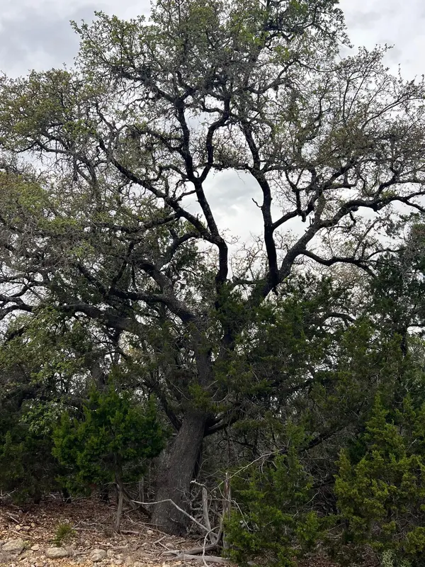 lot 67 Broken Spoke 5 Acres, Canyon Lake, TX 78133