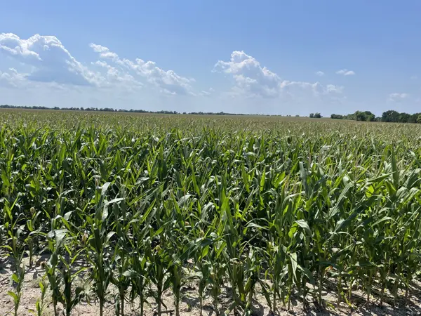 TBD Donahue Road RD, Bartlett, TX 76511