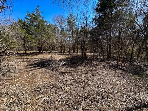 TBD Green Valley DR, Bastrop, TX 78602