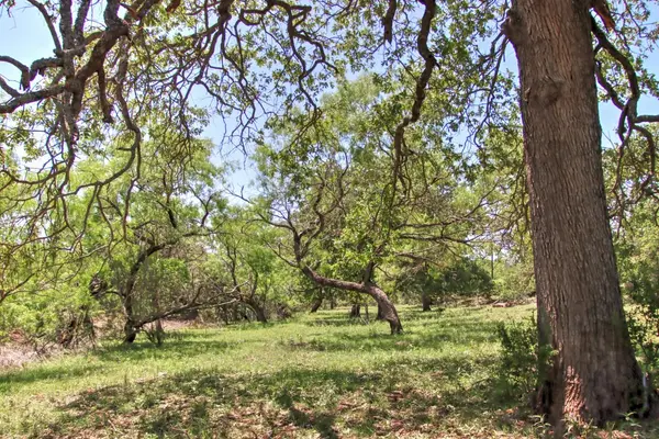 0 County Road 110, Burnet, TX 78611