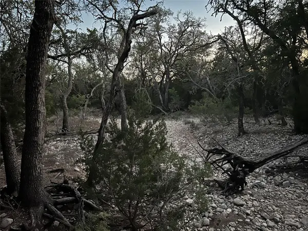 TBD County Road 450, Rocksprings, TX 78880