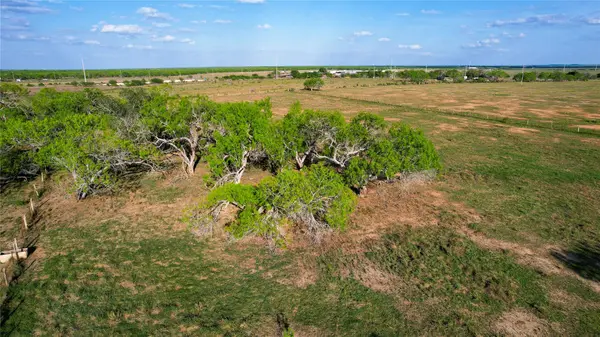 Tract 3 28.92 AC E State Highway 87, Nixon, TX 78140