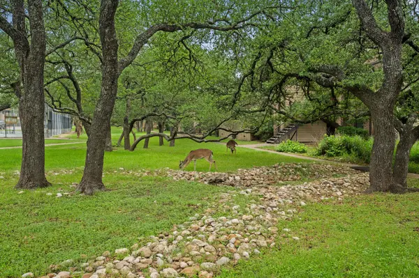 4159 Steck Ave #267, Austin, TX 78759