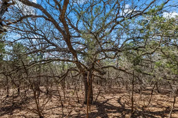 25723 Hamilton Pool RD, Round Mountain, TX 78654