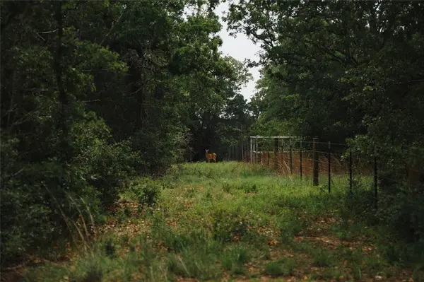 00 St Delight RD, Paige, TX 78659