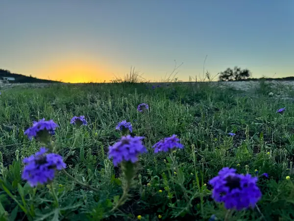 105 Majestic Hills, Blanco, TX 78606