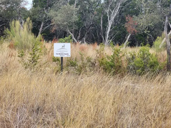 Lot 162 Addax CT, Lampasas, TX 76550