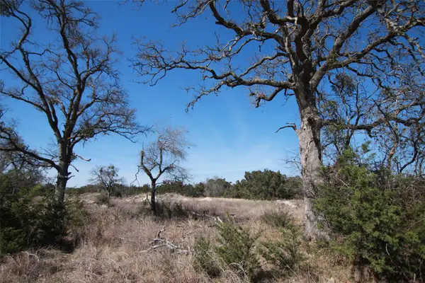 105 Daisy LN, Dripping Springs, TX 78620