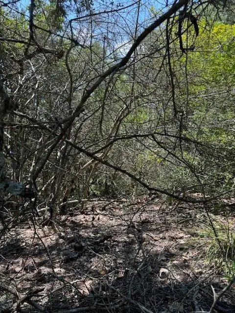 157 Lamaloa LN, Bastrop, TX 78602