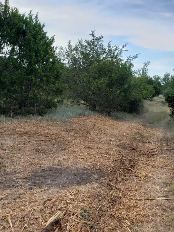 Lot 44 County Road 3640, Lampasas, TX 76522