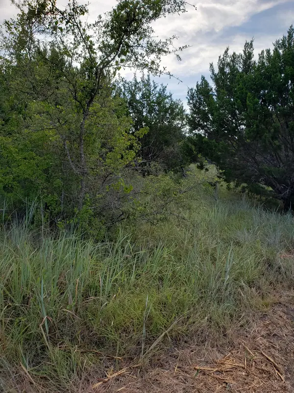 Lot 44 County Road 3640, Lampasas, TX 76522