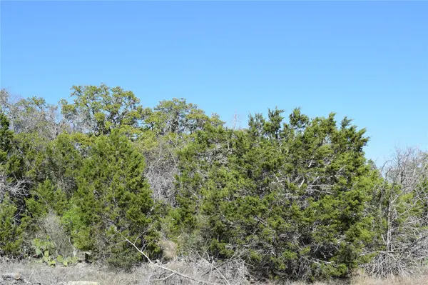 TBD Cheyenne TRL, Wimberley, TX 78676