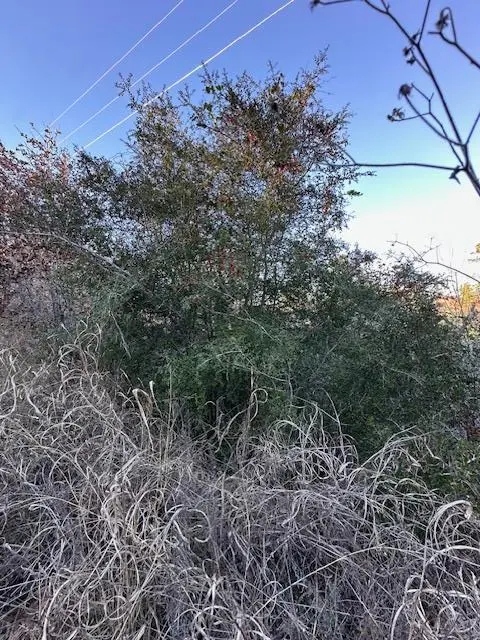 0 TBD Kula CT, Bastrop, TX 78602