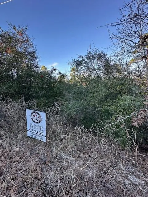 0 TBD Kula CT, Bastrop, TX 78602