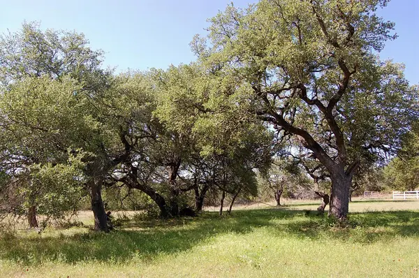 0 Rio Gabriel, Liberty Hill, TX 78642