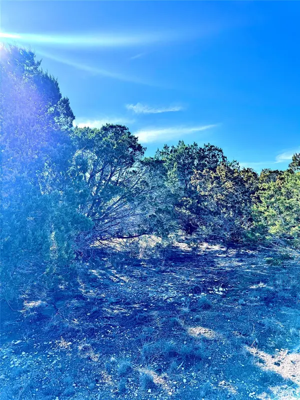 TBD tract  91 Citadel DR, Center Point, TX 78010