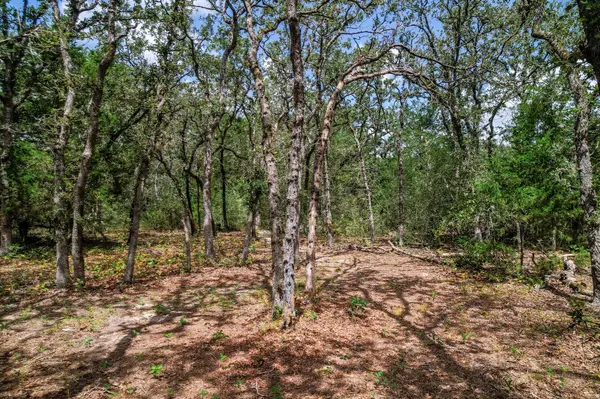 TBD Christensen RD, Elgin, TX 78621