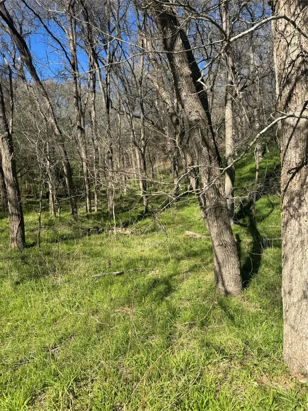 Lots 638. 639. 640 Kaukonahua LN, Bastrop, TX 78602