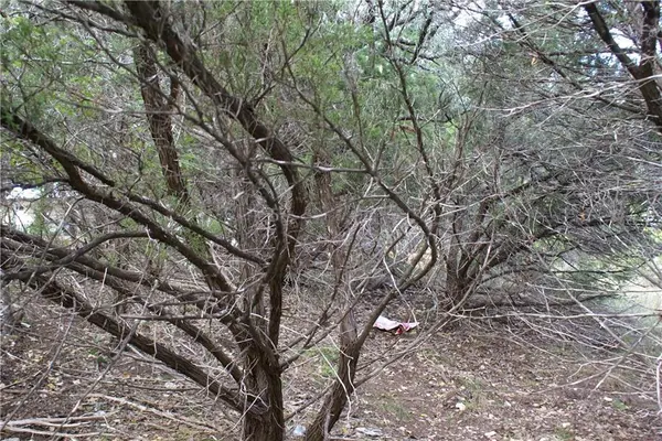 Lot 31 Panorama DR, Dripping Springs, TX 78620