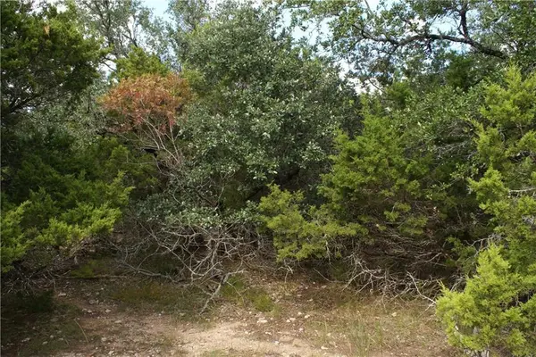 Lot 31 Panorama DR, Dripping Springs, TX 78620