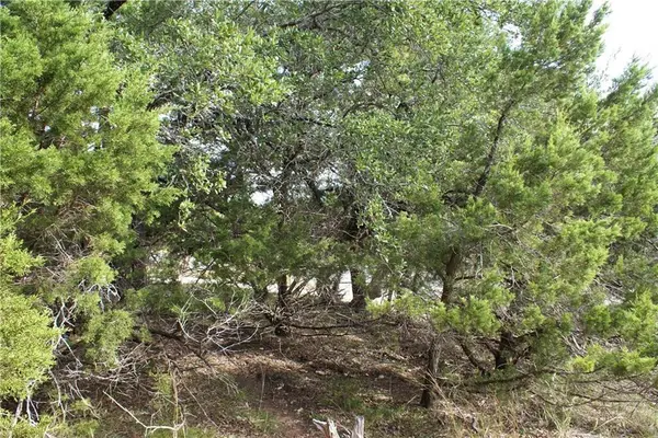 Lot 31 Panorama DR, Dripping Springs, TX 78620