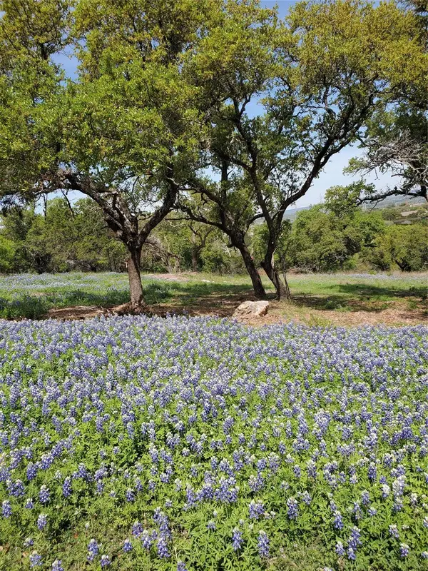 5401 Dew Drop ST, Horseshoe Bay, TX 78657