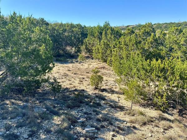22122 Moulin DR, Spicewood, TX 78669