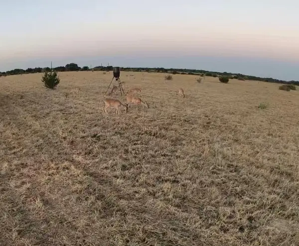 39 county road 330, Goldthwaite, TX 76844