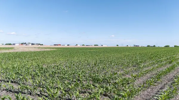 450 County Road 423, Taylor, TX 76574