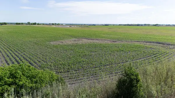 450 County Road 423, Taylor, TX 76574