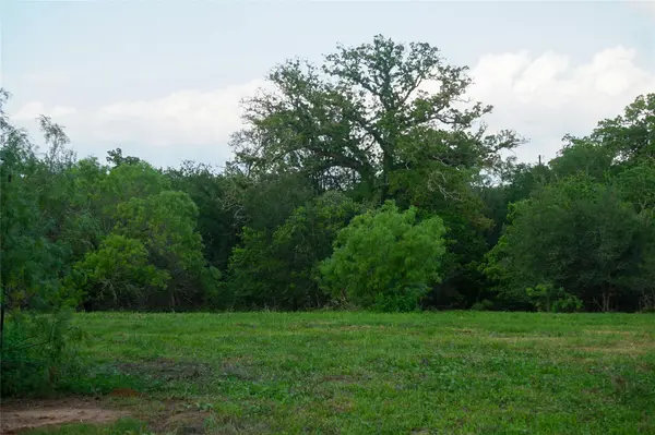 00 McDonald Lane, Bastrop, TX 78612