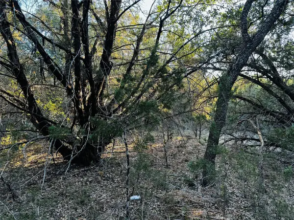 21448 Santa Rosa Ave, Lago Vista, TX 78645